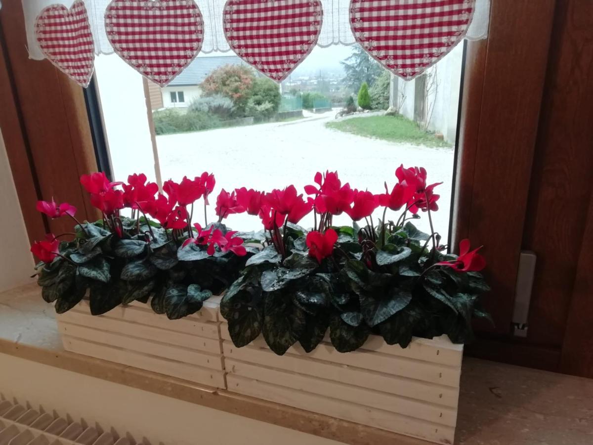 Paderno B&B La Casa Di Loretta מראה חיצוני תמונה